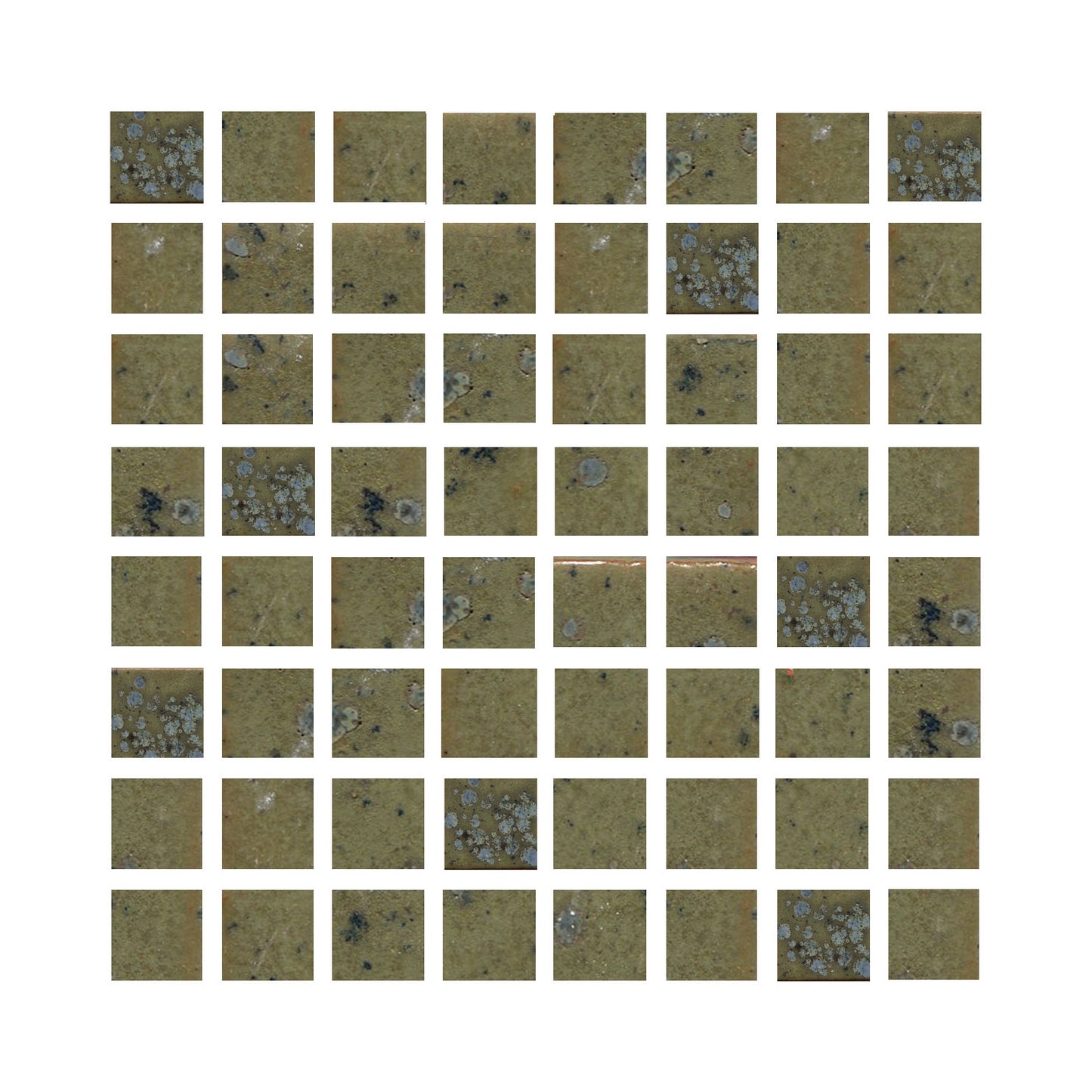 Quail's Egg 1 x 1" (11 SF Available) Free Shipping