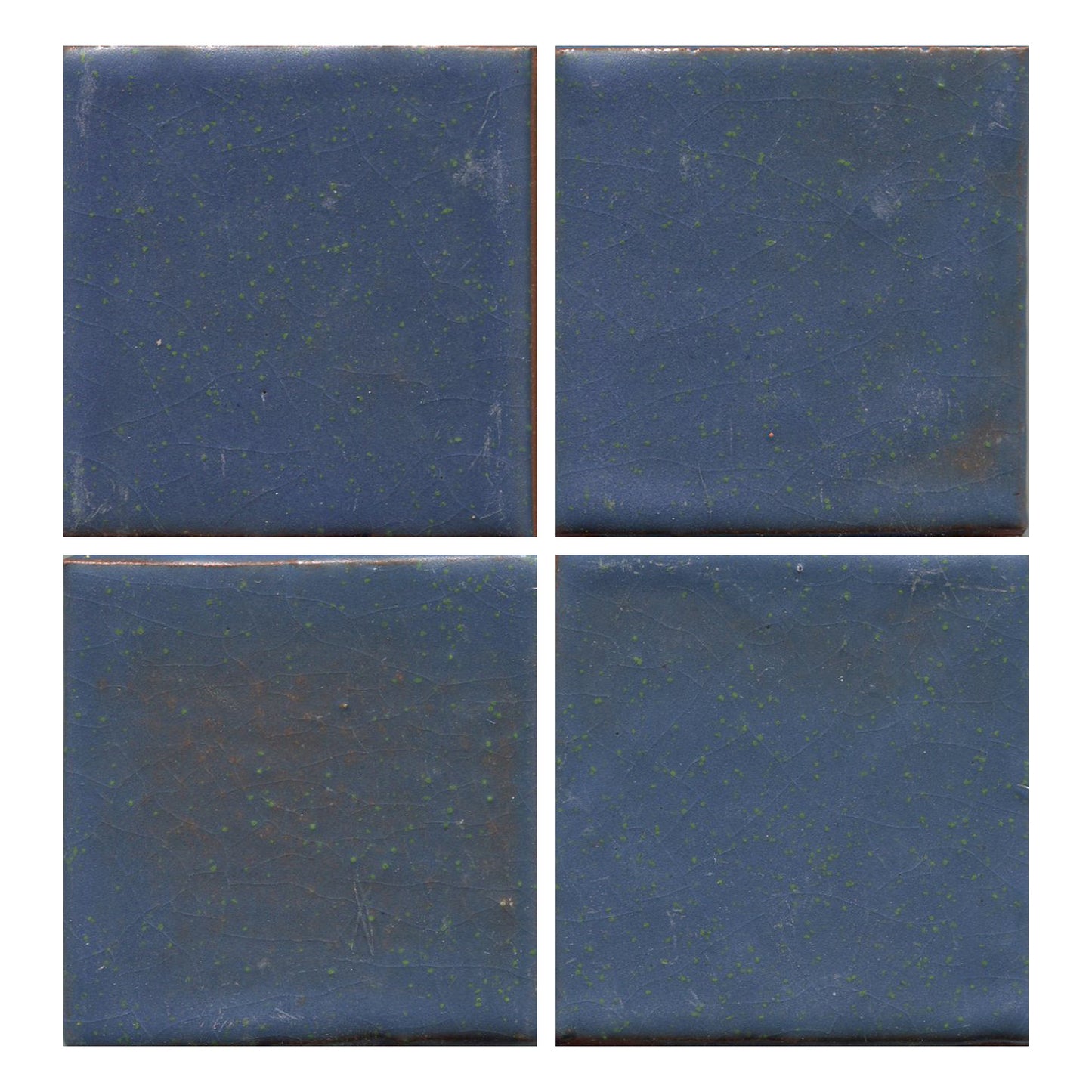 Blueberry 6 x 6" (4 SF Available )
