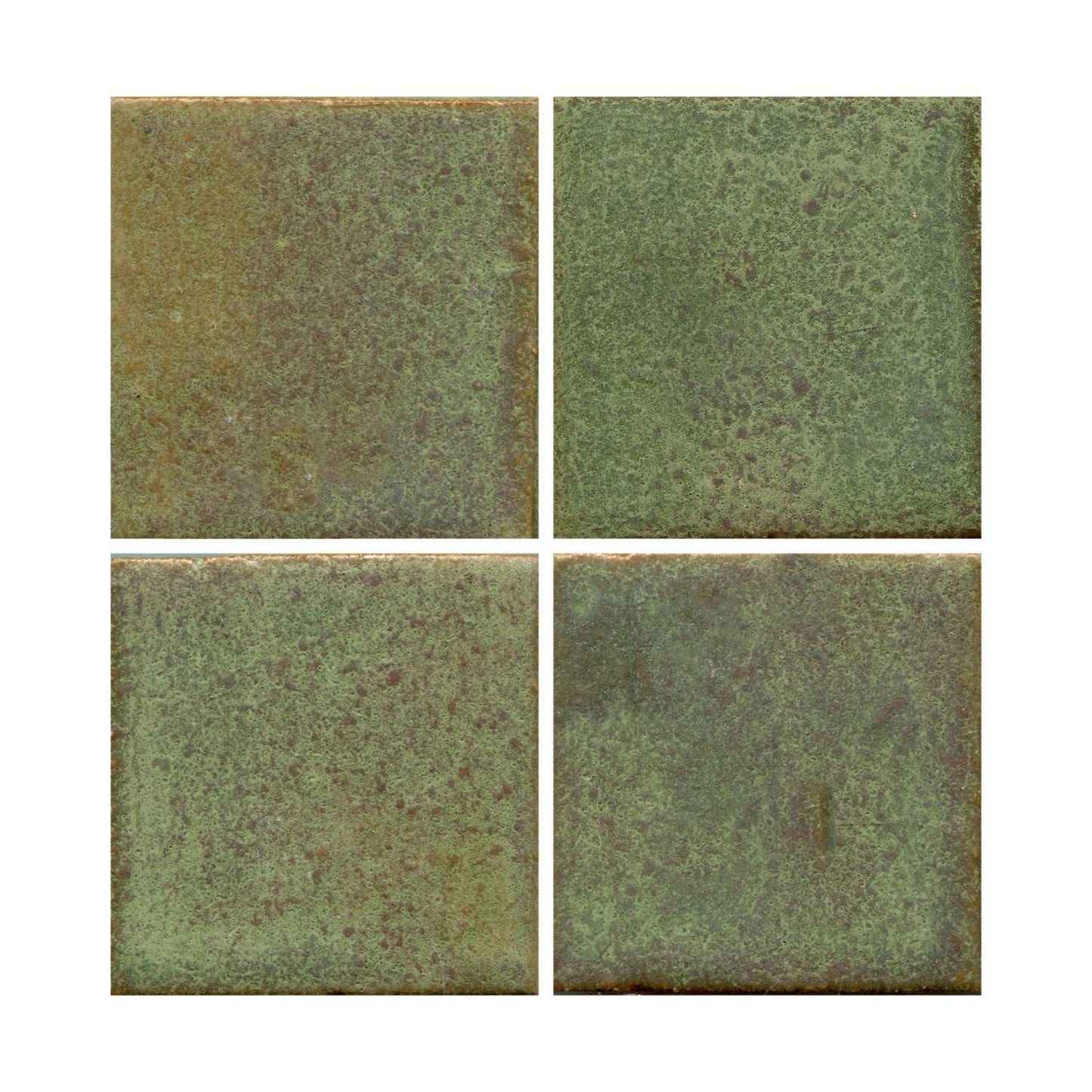 Rosemary 4" x 4" (4 SF Available)