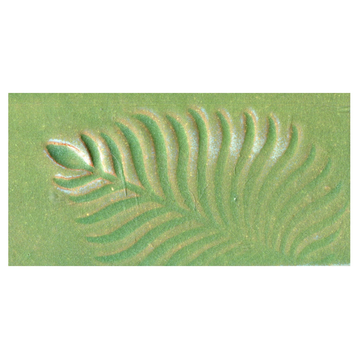 fern green 4x8 tile