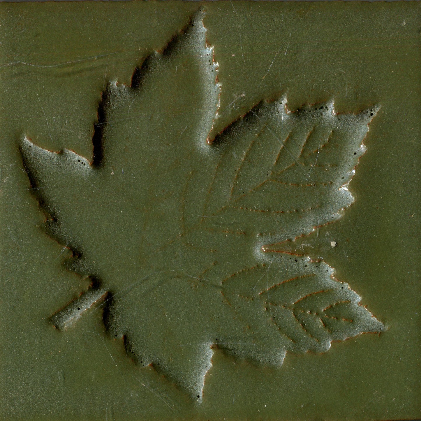 Maple Leaf
