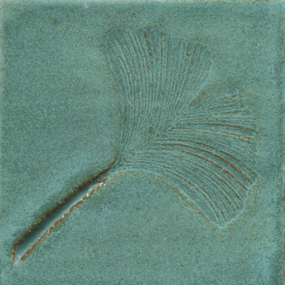 Gingko Leaf