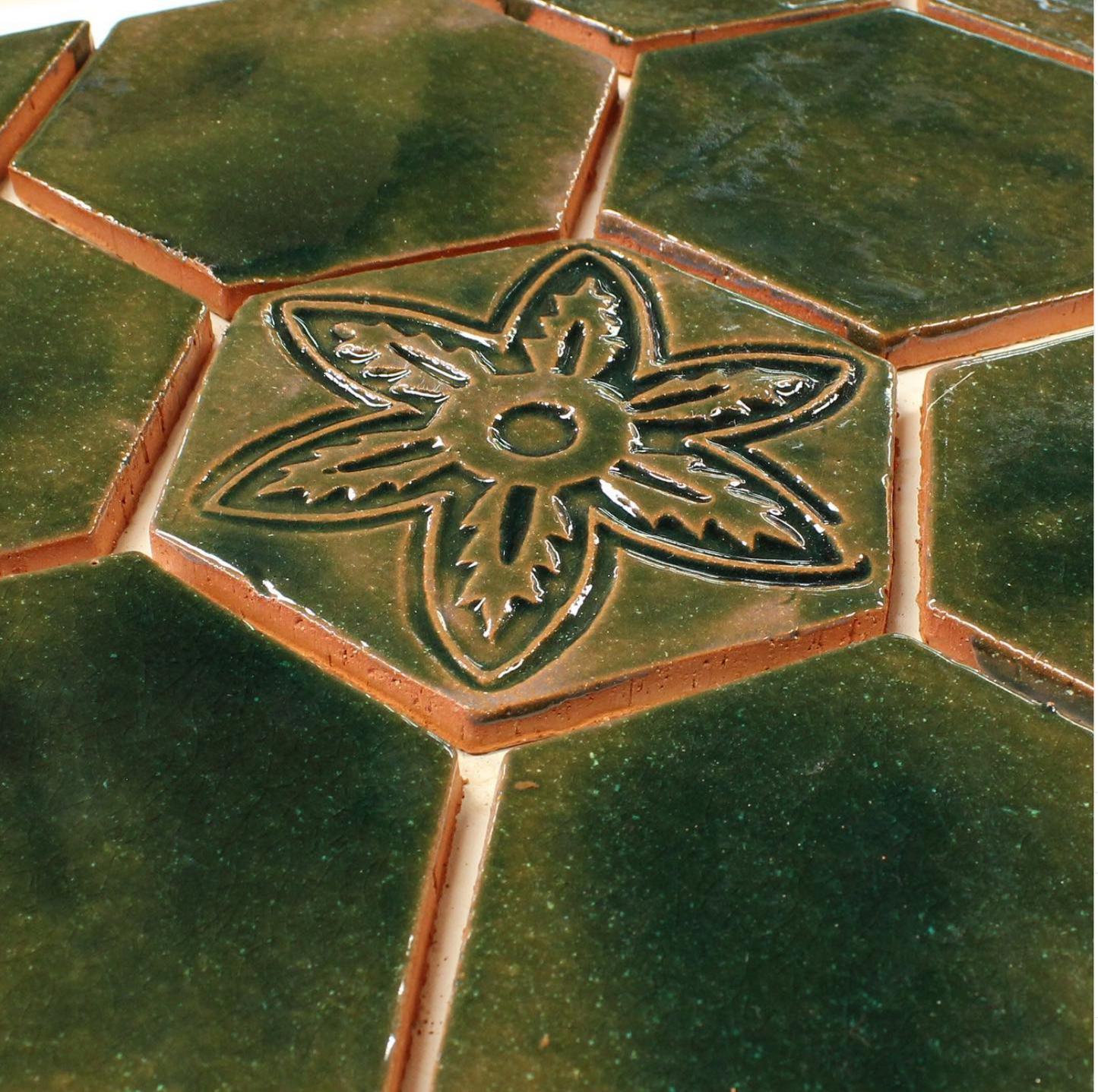 Hexagon Cactus Flower
