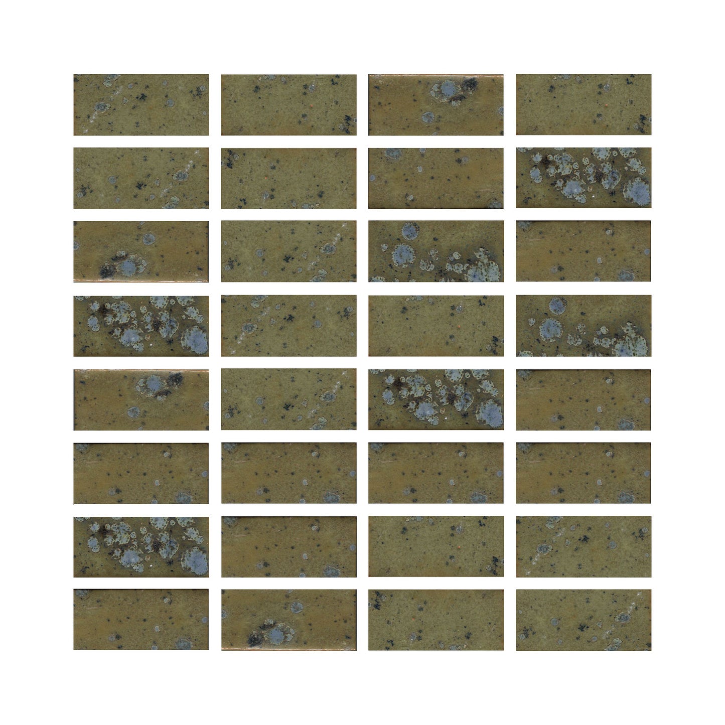 Quails Egg mottle green1x2 field tile