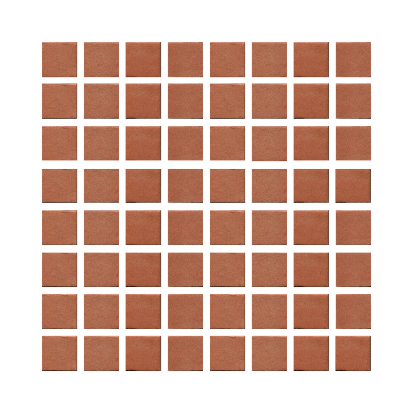 Tomato Bisque 801r