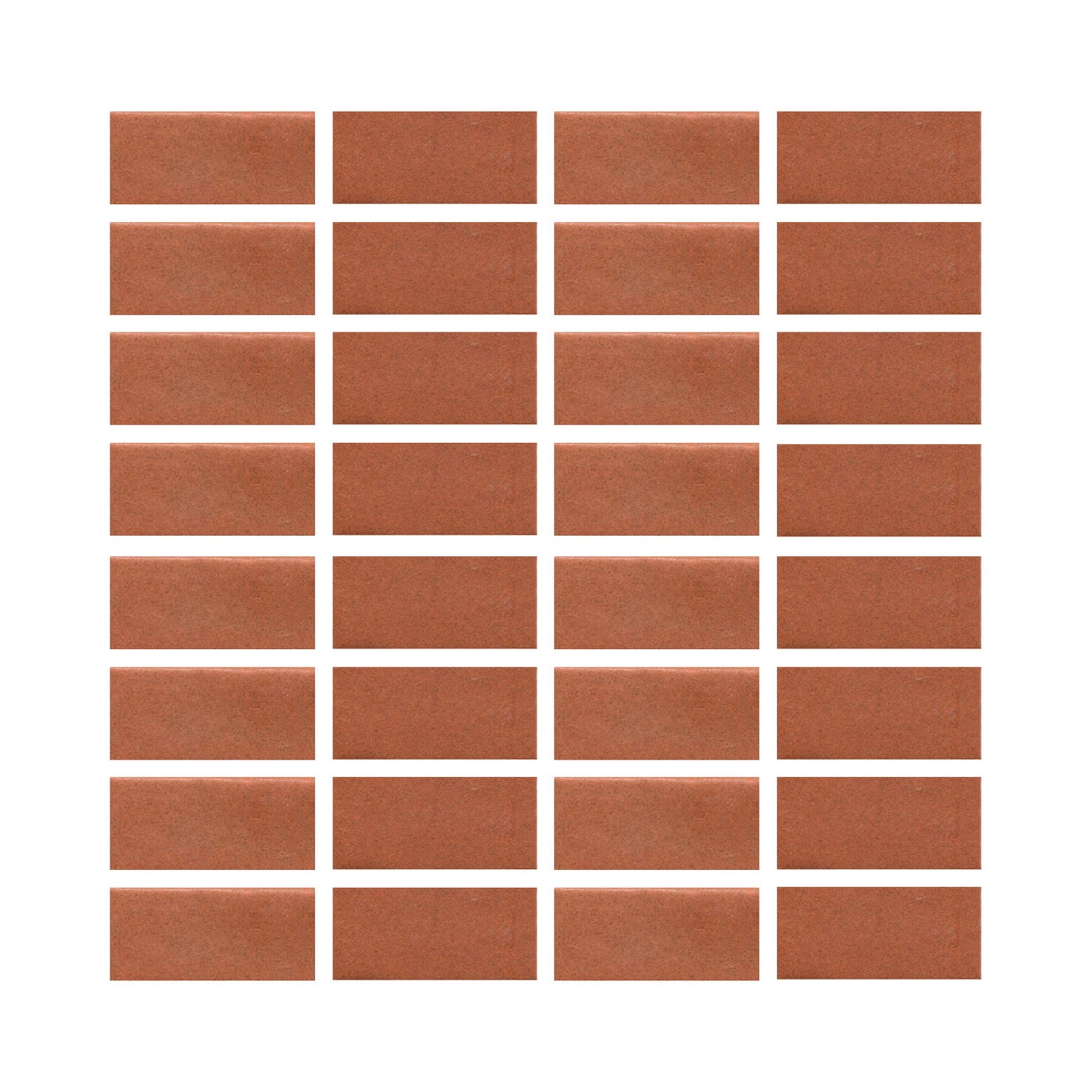Tomato Bisque 801r