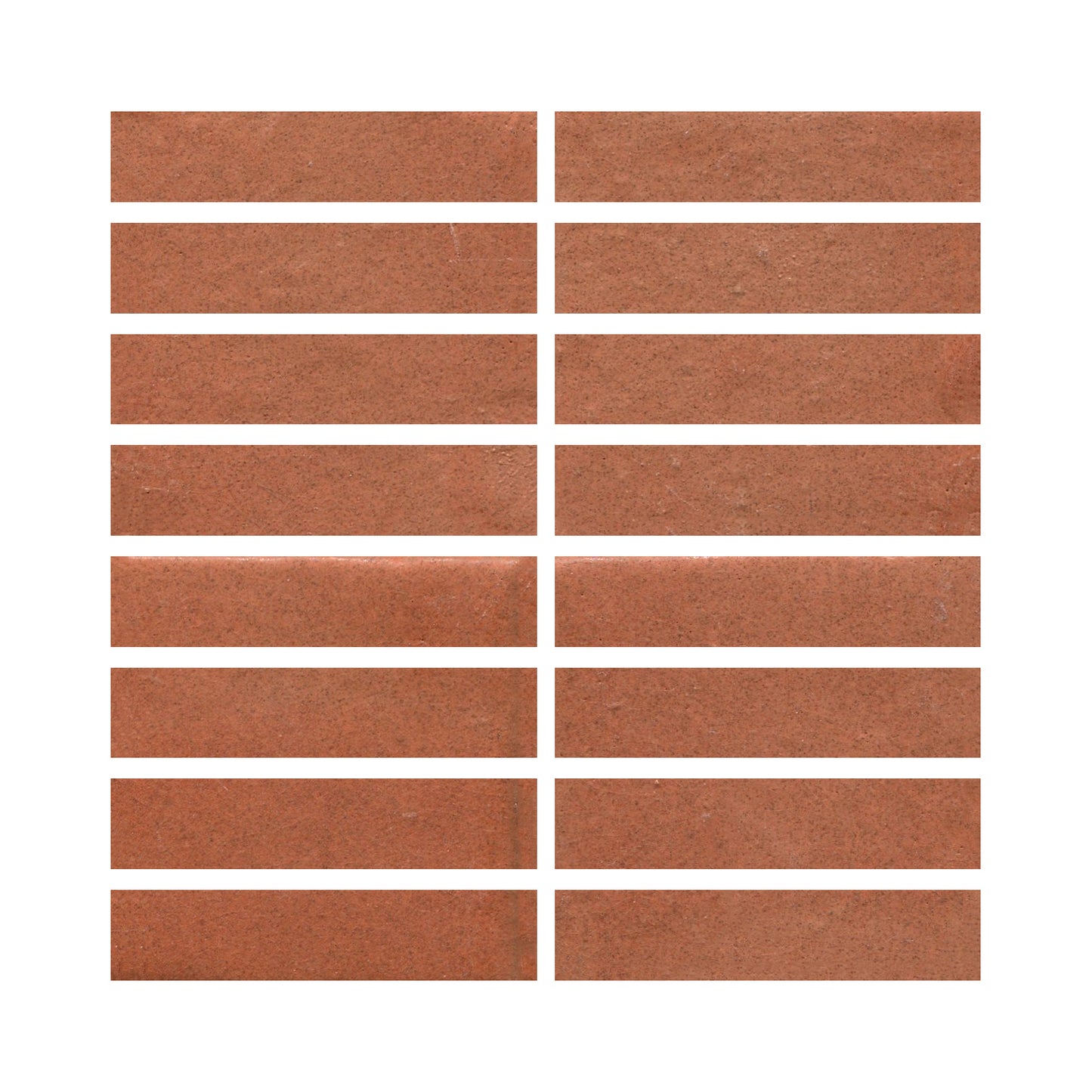 Tomato Bisque 801r