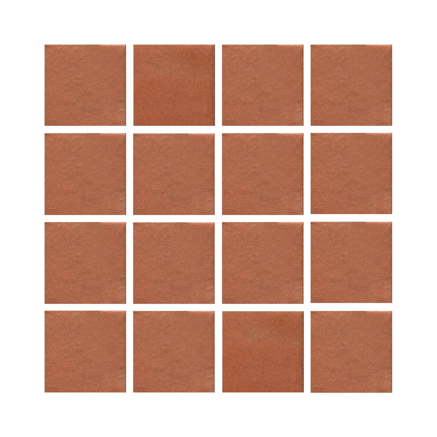 Tomato Bisque 801r