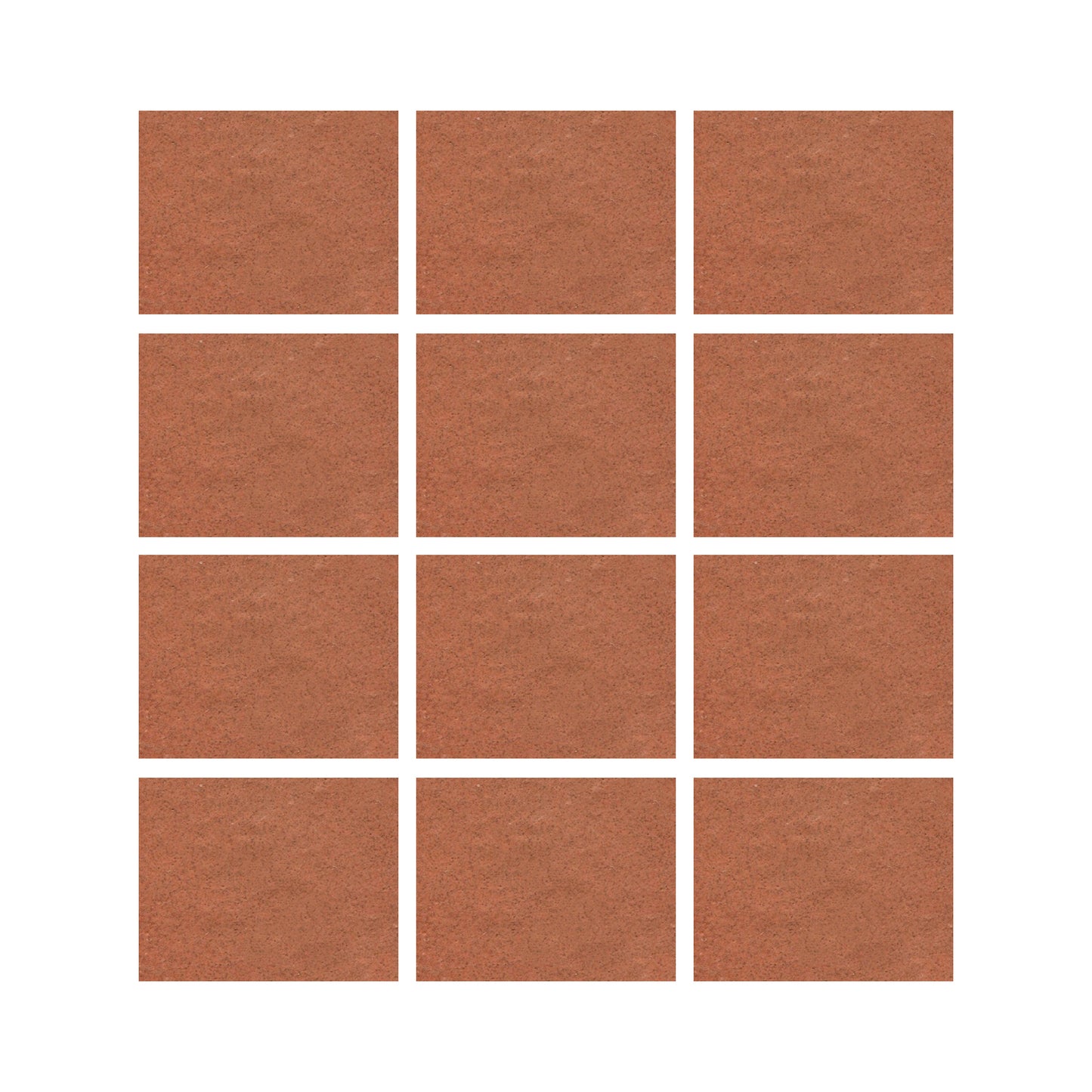 Tomato Bisque 801r