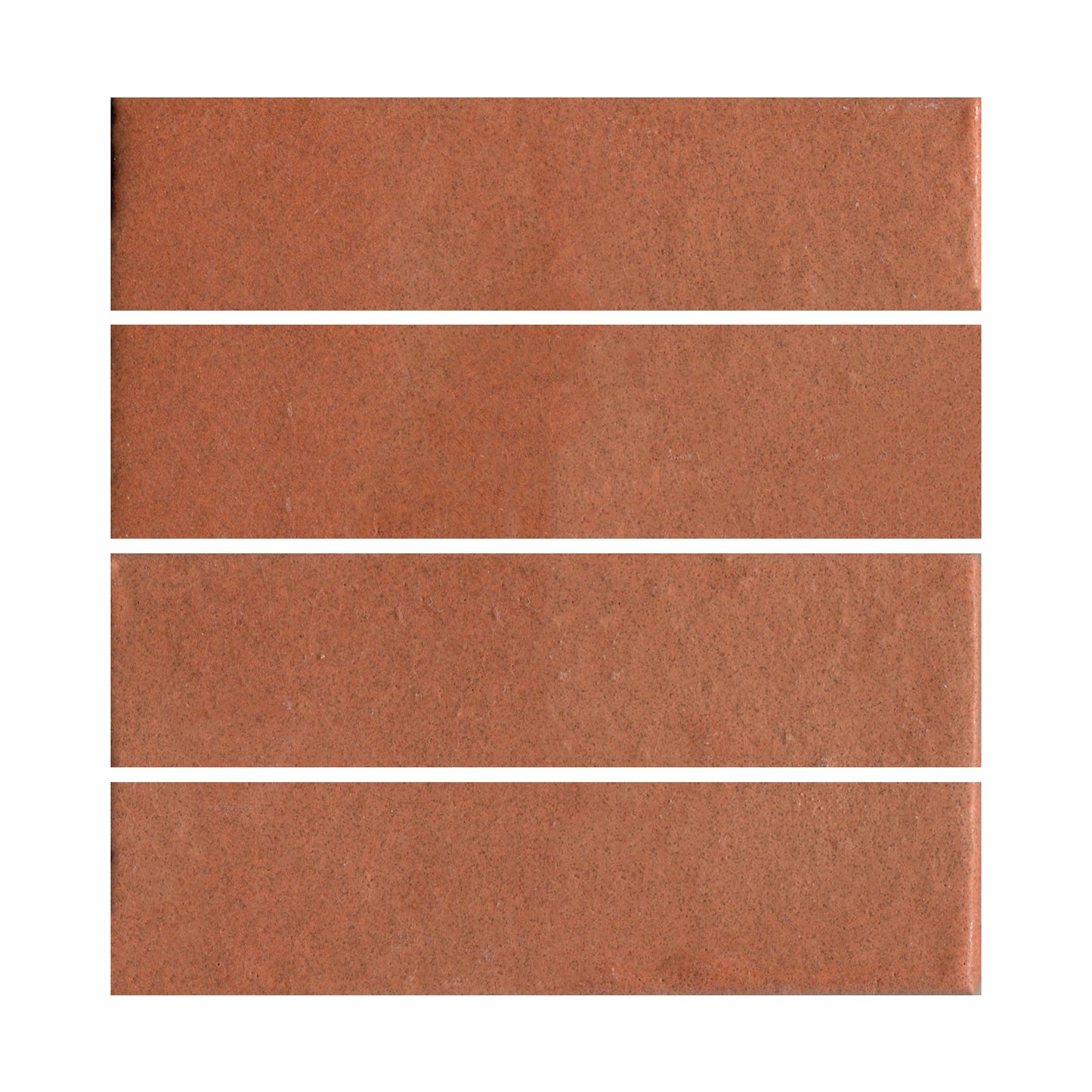 Tomato Bisque 801r