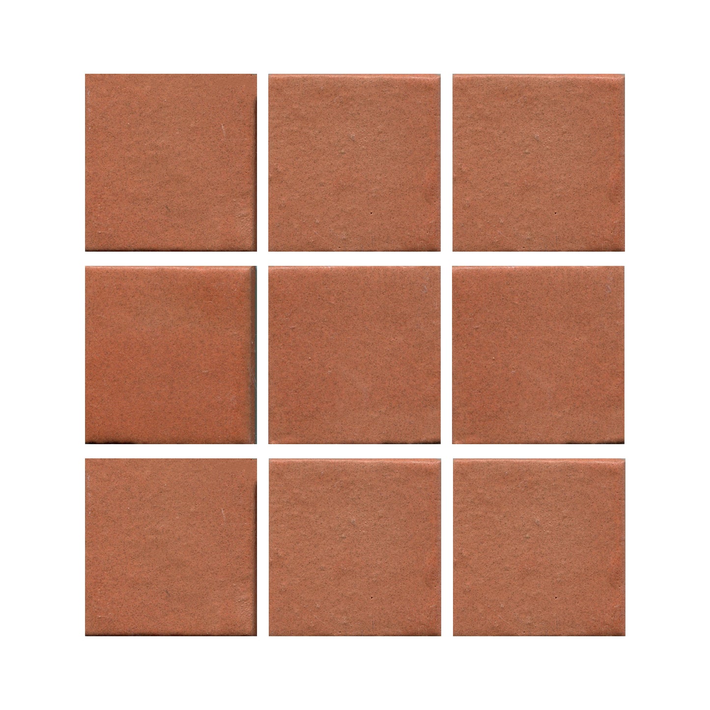 Tomato Bisque 801r