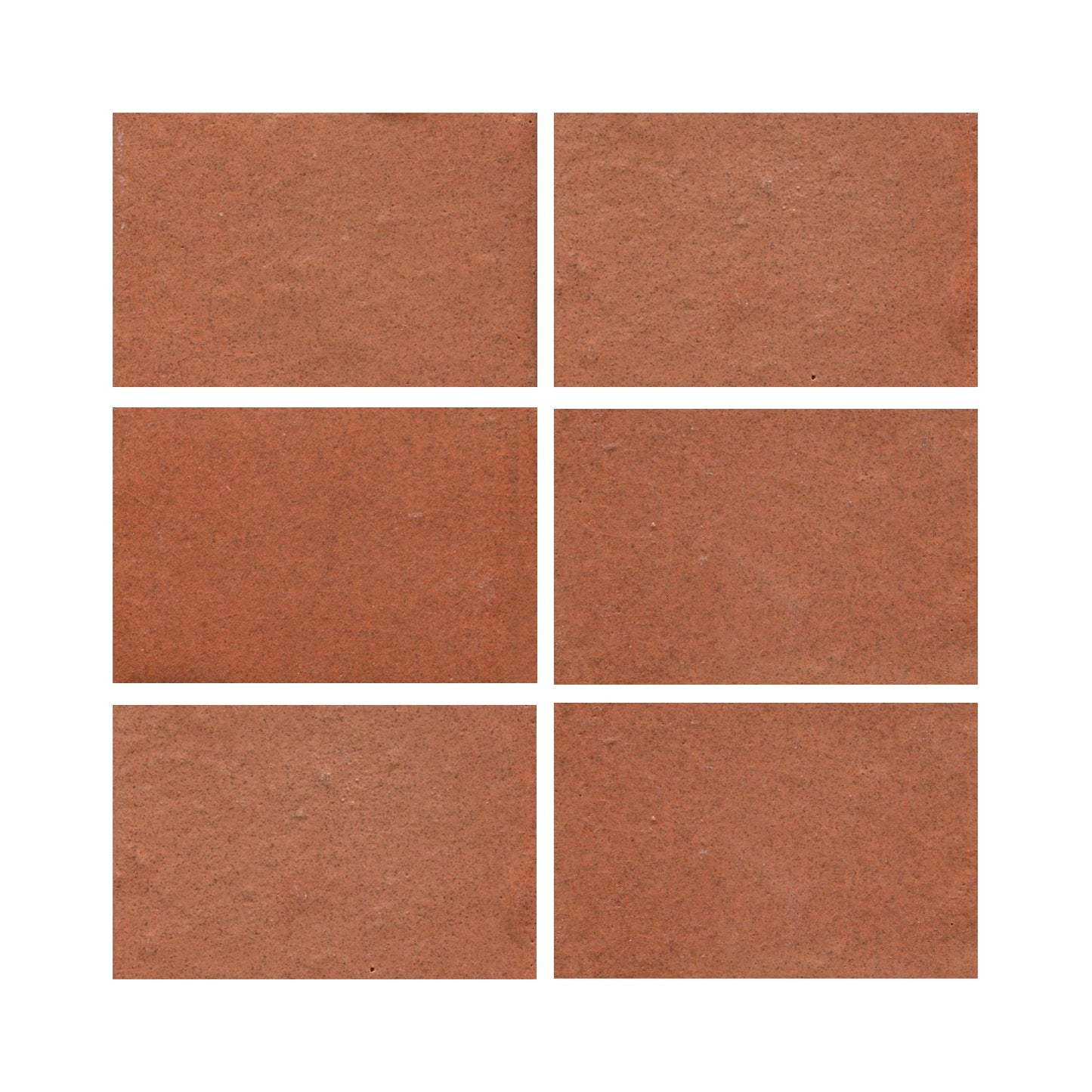 Tomato Bisque 801r