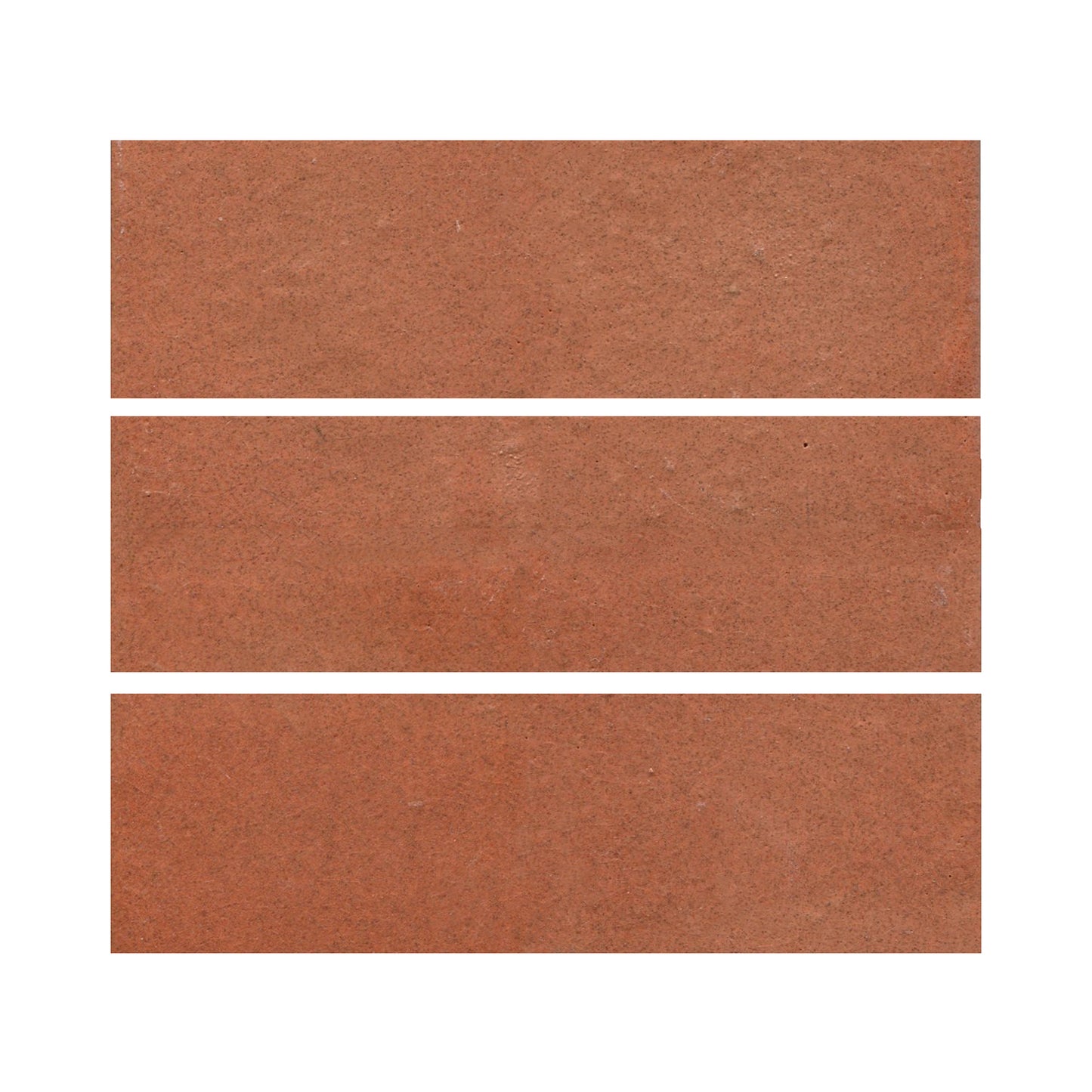 Tomato Bisque 801r