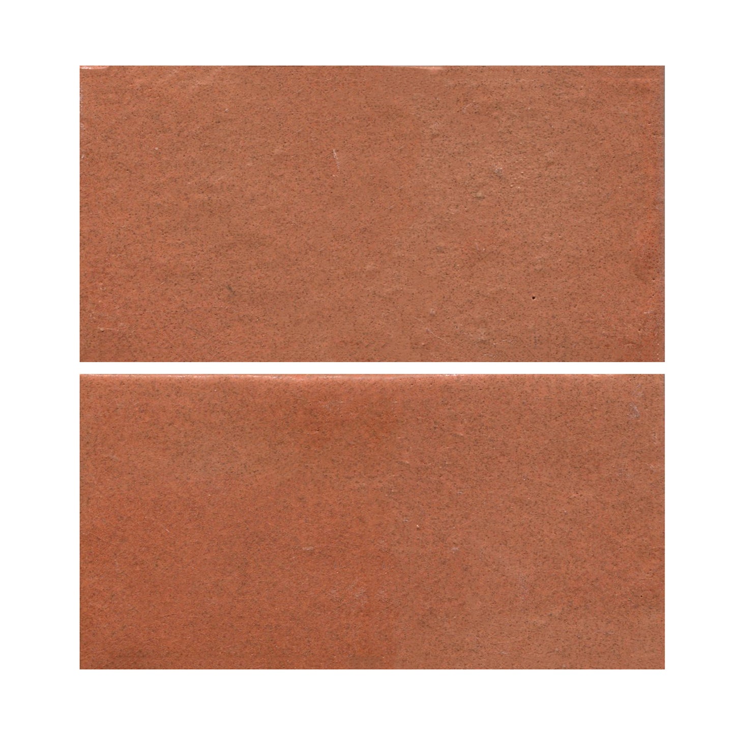 Tomato Bisque 801r