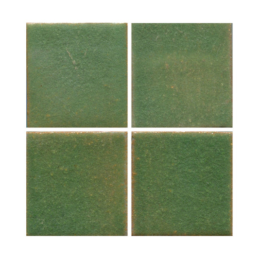 Avocado 4x4" and 4x6" (6 SF Available)