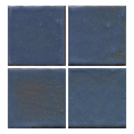 Blueberry 6 x 6" (4 SF Available )