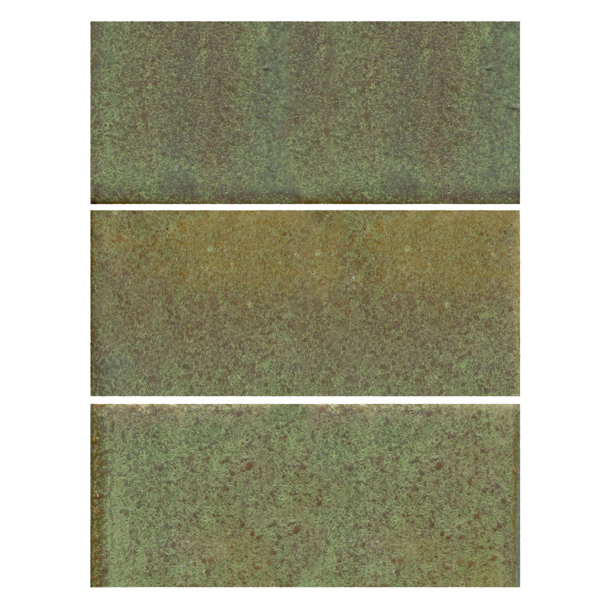 Rosemary 3" x 6" (22 SF)