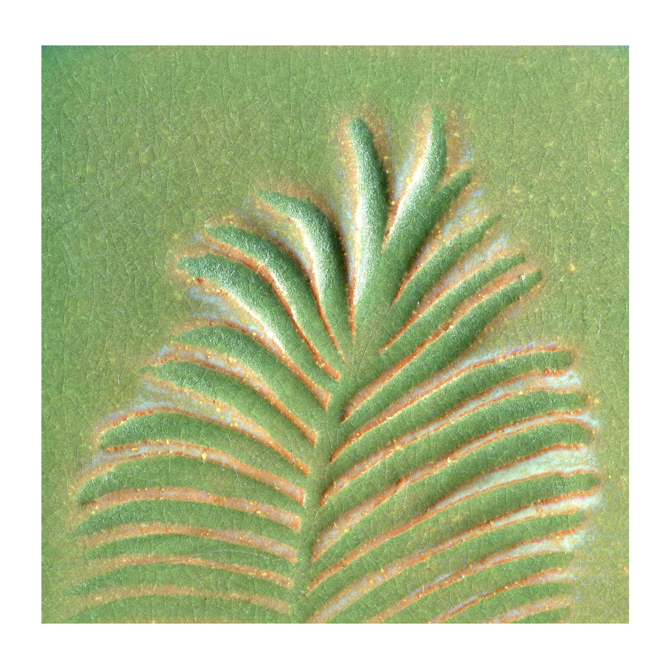 Palm green square tile