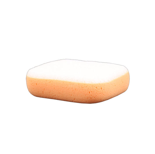 Sponge