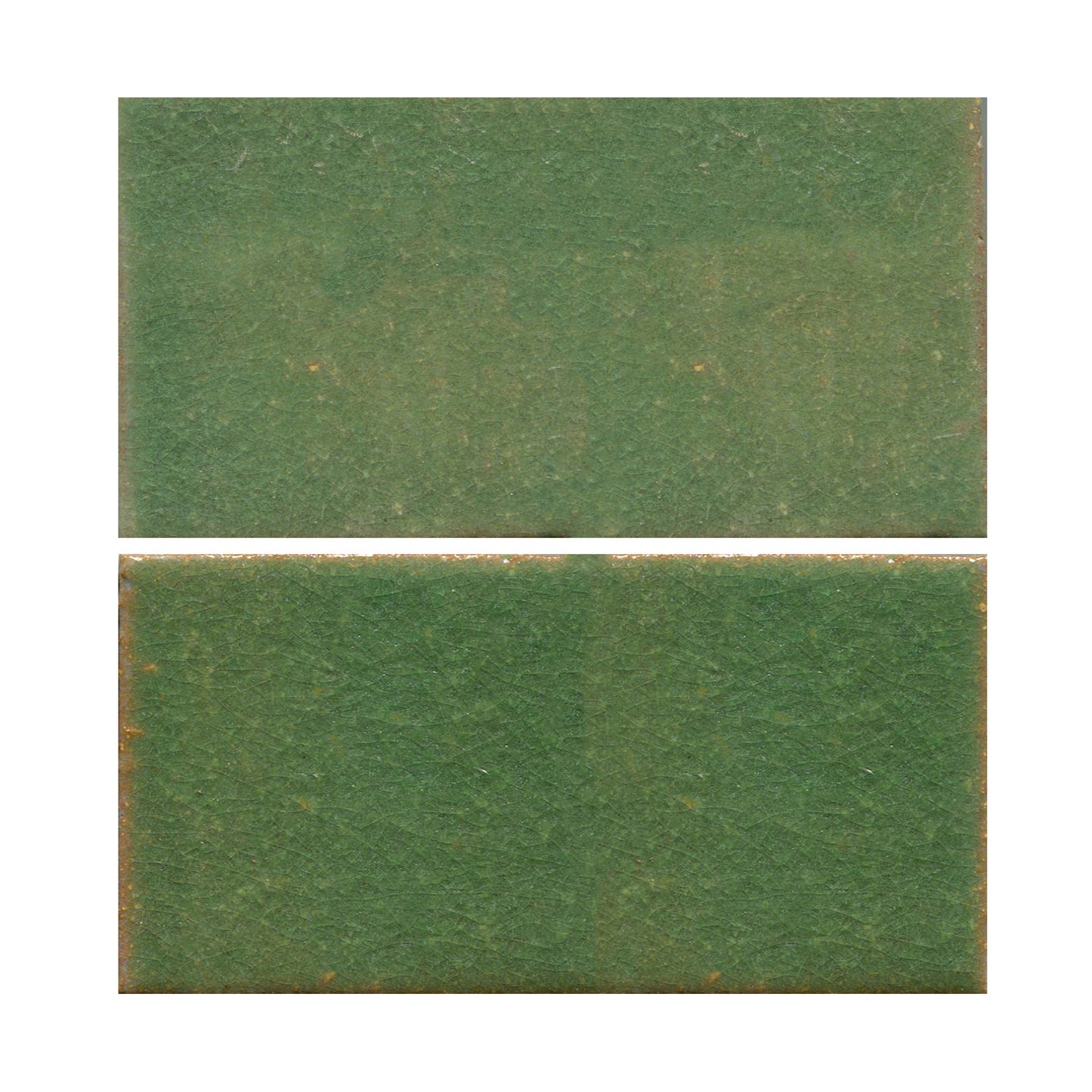 Avocado green 4x8 field tile