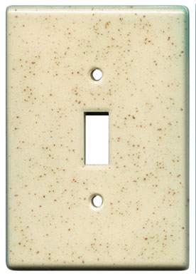 Spiced Clear single switch ceramic plate